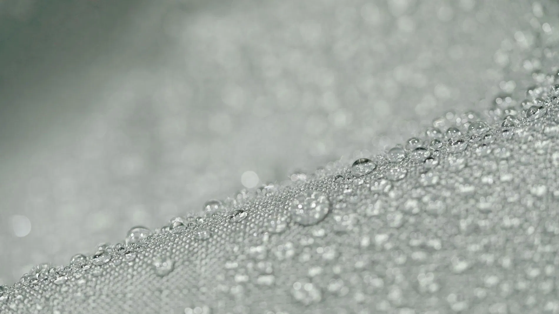 Travia M Weather-proof cover